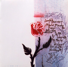 Shocking Pinks - Person | AudioCulture